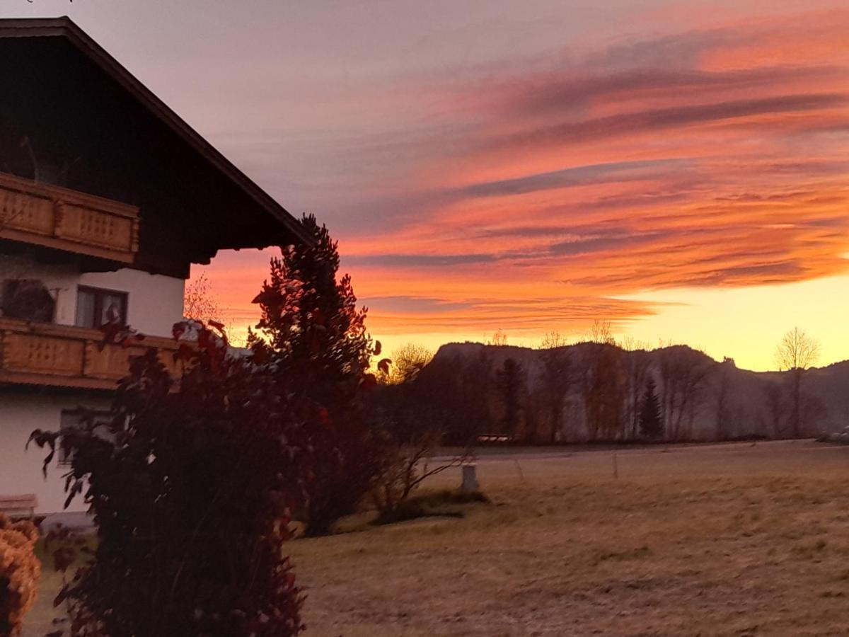 Palfengut Daire Altenmarkt im Pongau Dış mekan fotoğraf